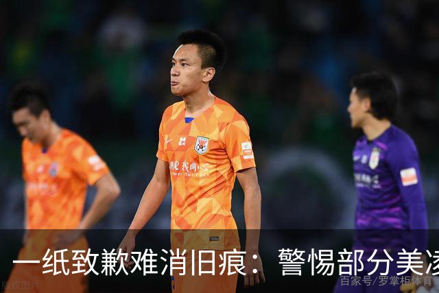 一纸致歉难消旧痕：警惕部分美凌格习惯了的选择性遗忘