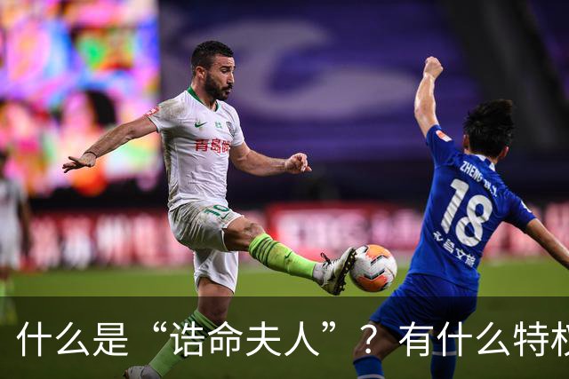 什么是“诰命夫人”？有什么特权和好处