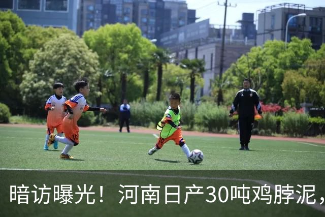 暗访曝光！河南日产30吨鸡脖泥，最后流向街头2元烤肠