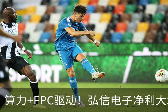 算力+FPC驱动！弘信电子净利大增139%，股价较年内高点回撤超40%
