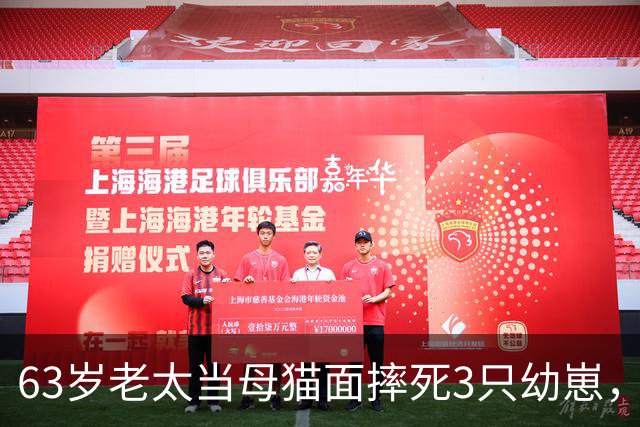 63岁老太当母猫面摔死3只幼崽，3天后遛弯忘关窗户，回家后崩溃了